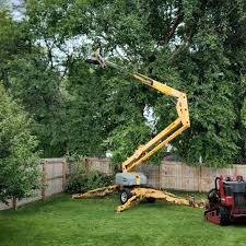 Best Artificial Turf Installation  in Luck, WI