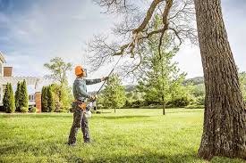 Best Seasonal Cleanup (Spring/Fall)  in Luck, WI