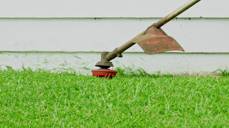 Best Lawn Pest Prevention  in Luck, WI