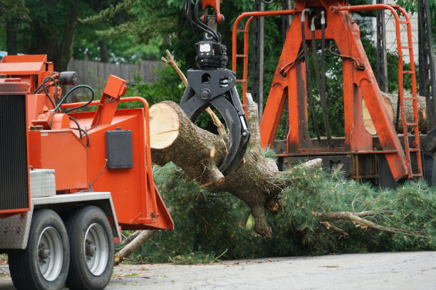 Best Lawn Irrigation Installation and Maintenance  in Luck, WI