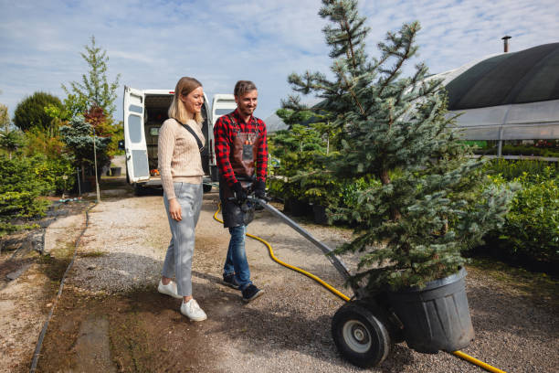 Best Aeration Services  in Luck, WI